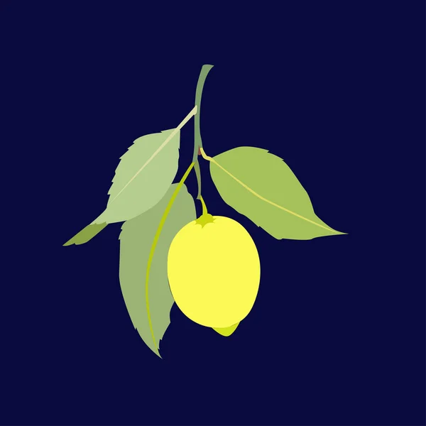 柠檬果与叶子隔离在深蓝色背景 新鲜的柑橘 矢量平面插图 — 图库矢量图片