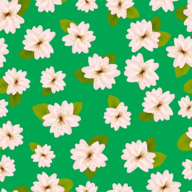 Bahar kiraz çiçekleri. Japon sakura ile dikişsiz desen. Yeşil arka planda pembe çiçekler. Romantik illüstrasyon.