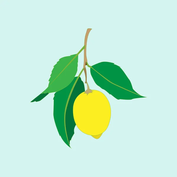 RGBLemon dengan daun terisolasi di latar belakang biru muda. Citrus segar. Ilustrasi rata vektor . - Stok Vektor