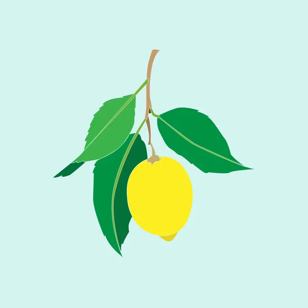 Lemon fruit with leaves isolated on light blue background. Fresh citrus. Vector flat illustration. — Stock Vector