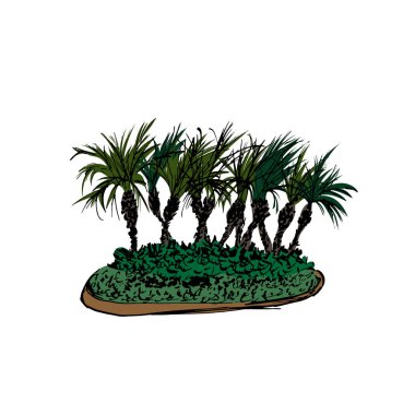 Palmiye ağaçları grup beyaz arka plan üzerinde izole. Vektör illüstrasyon. Elle çizilmiş çizim.