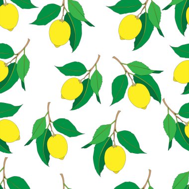 Beyaz arka plan üzerinde izole limon ile Dikişsiz desen. Yeşil yaprakları ile Sarı taze Meyveler. Yaz tasarımı. Renkli duvar kağıdı. Vektör çizimi.