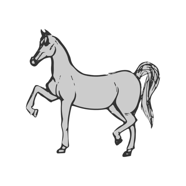 Belo cavalo cinzento. Cavalo puro isolado sobre fundo branco. Mão desenhada. Ilustração vetorial plana . —  Vetores de Stock