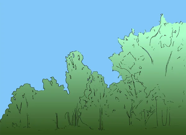Silhueta verde da floresta e céu azul. Ambiente conceito de conservação projeto plano.Paisagem vetorial. Abstrato natureza fundo, modelo de floresta, ilustração desenhada à mão . —  Vetores de Stock