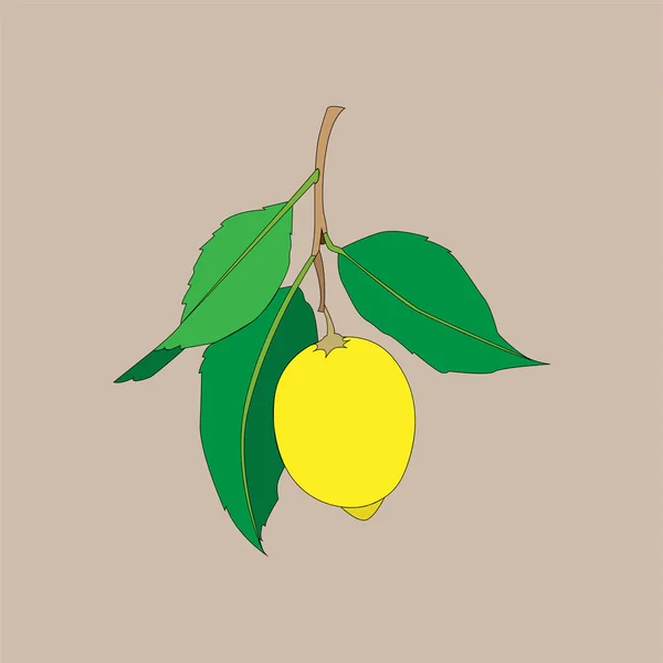 Frutto al limone con foglie isolate su fondo chiaro. Agrumi freschi. Illustrazione piatta vettoriale . — Vettoriale Stock