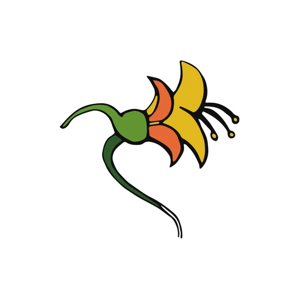 Doodle Flor tropical isolada sobre fundo branco. Ilustração vetorial desenhada à mão. Elemento de design floral —  Vetores de Stock