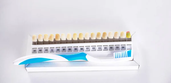 Toothbrush and color samples of artificial dentures — Stock Photo, Image