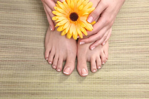 Στα πόδια και όμορφο μανικιούρ σε χέρια closeup των ποδιών — Φωτογραφία Αρχείου