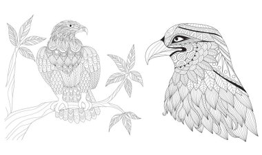 Kitap sayfa için yetişkin renklendirme için kartal kümesi. Antistress, freehand fotoğraflık boyama doodle ve zentangle tarzı ile çizim kroki. Vektör çizim