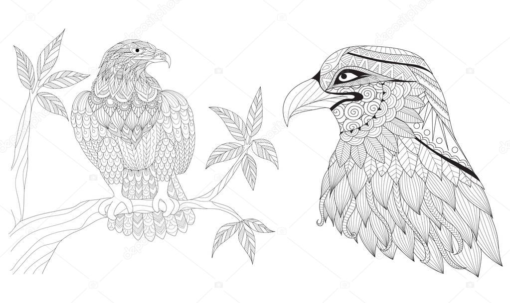 Set of eagles for coloring Book page  for adults. Colouring pictures for Antistress,freehand sketch drawing with doodle and zentangle style. Vector illustration