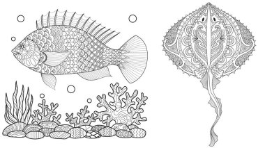 Yetişkin boyama kitabı için boyama sayfası. Stingray shoal, tropikal balıklar ve okyanus bitkiler ile sualtı dünyasını. Doodle ve zentangle öğeleri ile çizim antistress serbest kroki.