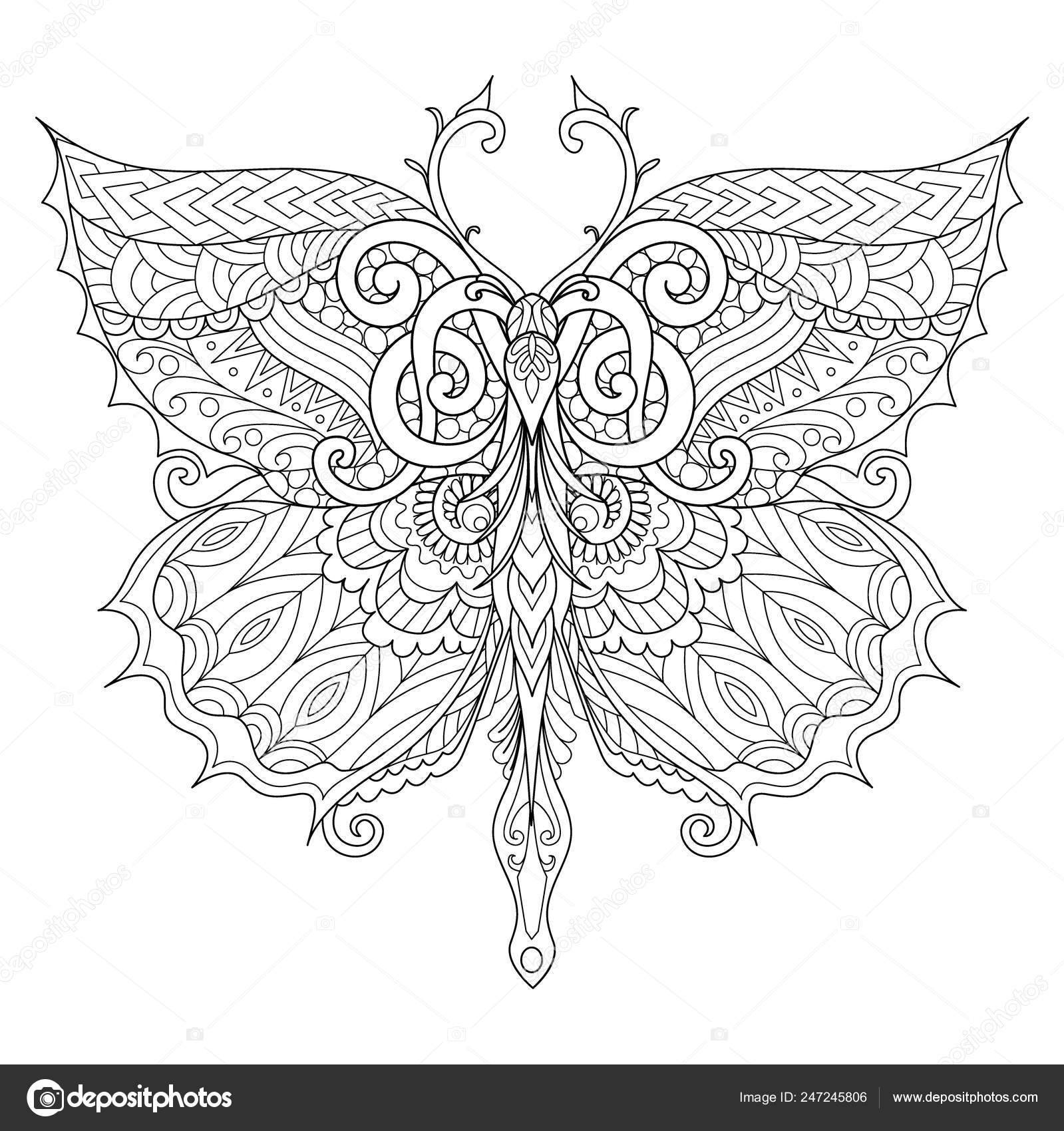 Download Beautiful Butterfly Adult Coloring Book Coloring Page Print Shirt Other Stock Vector Image By C Somjaicindy Gmail Com 247245806