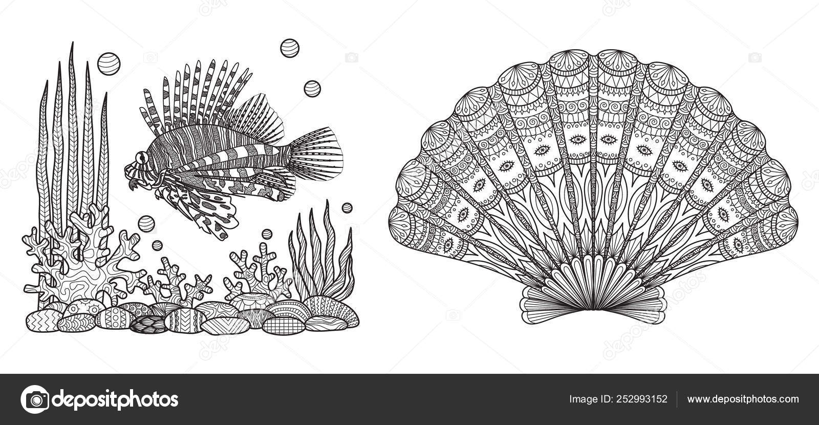 Download Zendoodle Design Lion Fish Swimming Beautiful Coral Sea Shell Collection Vector Image By C Somjaicindy Gmail Com Vector Stock 252993152