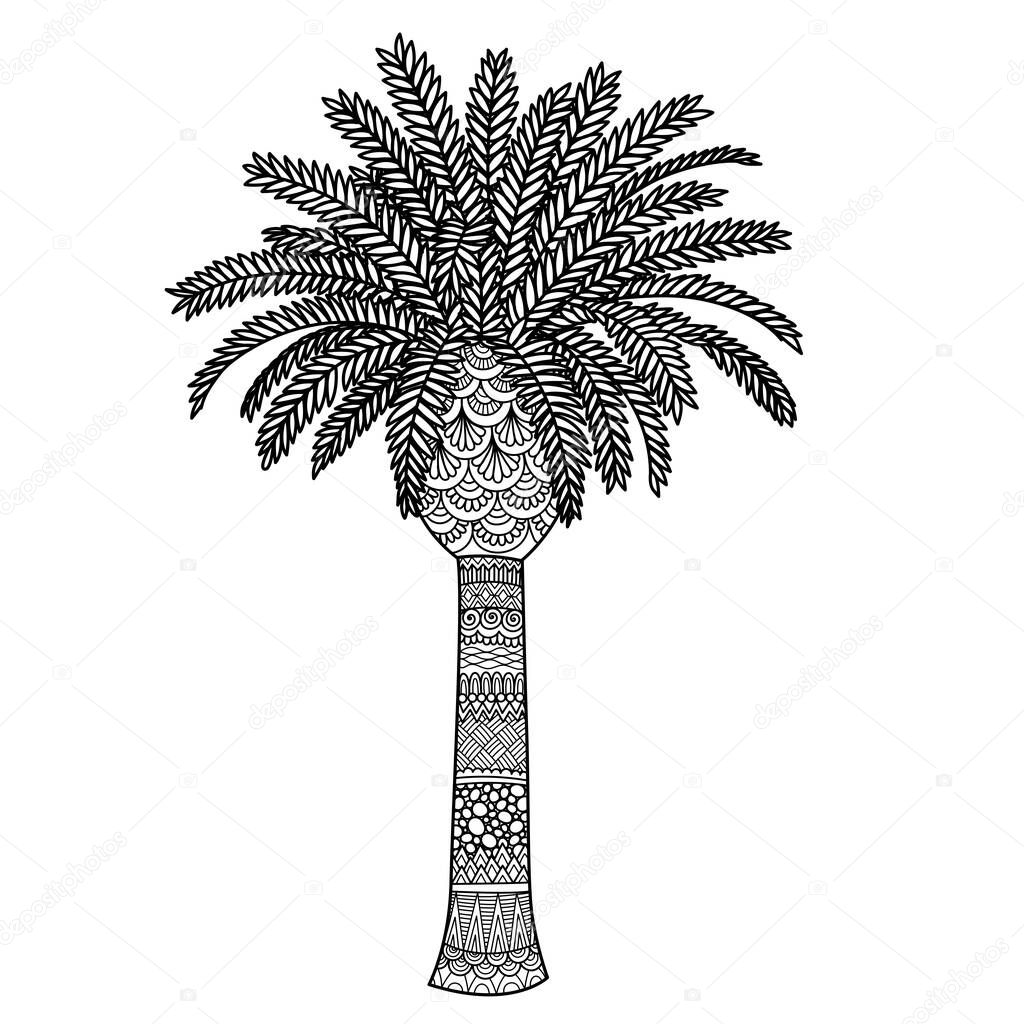 Line art design of palm tree for printing on product and adult coloring book page. Vector illustration