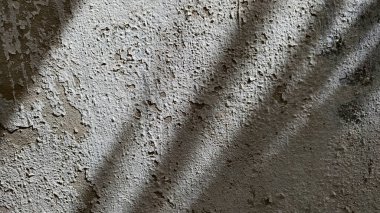 Yakın plan sert eskimiş eski beton duvar kabuğu soyulmuş, çatlamış beyaz boya. Duvar yüzeyi kirlenmiş, yaşını ve ihmalini gösteriyor. Çapraz gölgeler, dökülen palmiye yaprakları duvara düşer.