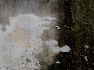 Yakın plan beton duvar. Yüzeyde büyük siyah, nemli lekeler ve yeşil yosunlarla yıpranma izleri var. Genel ses tonu sessiz ve organik olarak doğal bozulmayı yakalıyor.