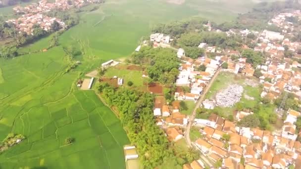 Hava Videosu Bandung Batı Java Endonezya Daki Pirinç Tarlalarının Aşırı — Stok video