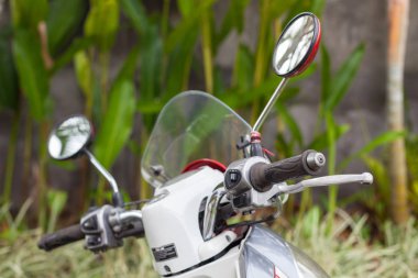 Kırmızı bir scooter yeşil bitkiler çerçevede bir parçası