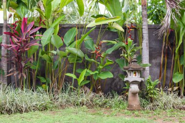Taş fener bahçe yeşil bitkiler ile