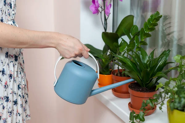 Florista Menina Regou Plantas Casa Lata Rega Peitoril Janela Pote — Fotografia de Stock