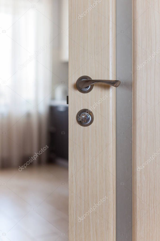 Wooden door with metallic handle open in to the empty room