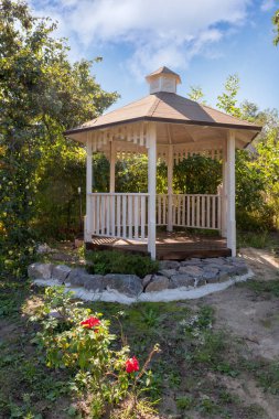 Beautiful designed white garden gazebo or pavilion in the backyard with roses in the foreground clipart