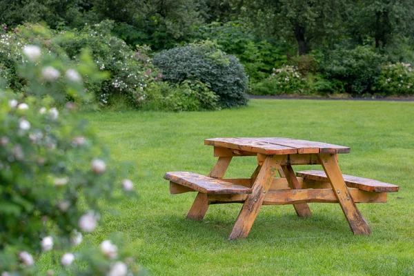 Photo of old wooden picnic table with benches on green grass lawn in beautiful and calm place
