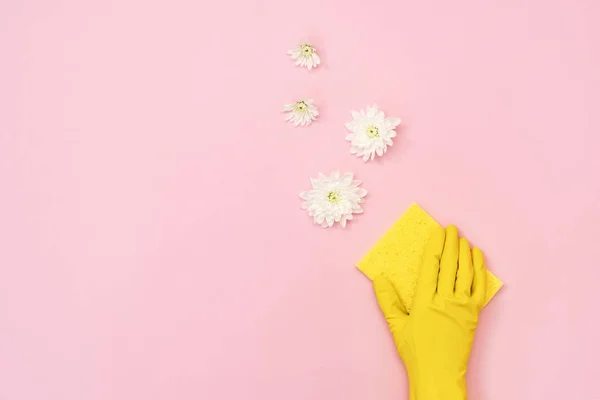 Woman in yellow rubber gloves holding soft sponge for washing in her hand isolated on pastel pink background with flowers and empty space for text