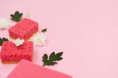 Bazı poliüretan sünger, beyaz çiçekler ve yeşil yaprakları üzerinde pastel pembe arka plan metin için boş alan ile izole döşeme