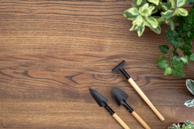 Kopya spa ile ahşap masa üzerinde tencere de Bahçe araçları ve bitkiler