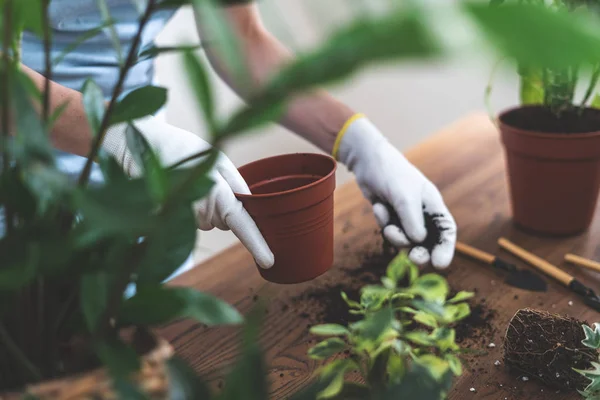 Jardinero sosteniendo olla marrón y tierra en las manos, de pie cerca de wo — Foto de Stock