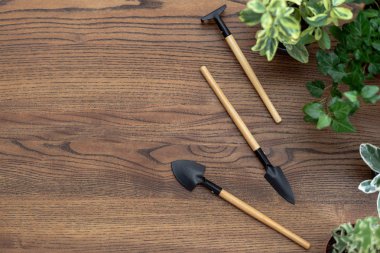 Ahşap masa w üzerinde flowerpoots bitkiler ile bahçe araçları ayarlayın