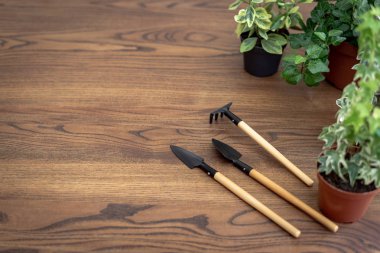 Ahşap masa w üzerinde flowerpoots bitkiler ile bahçe araçları ayarlayın