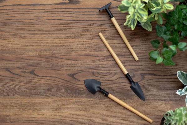 Set gardening tools with plants in flowerpoots on wooden table w — Stock Photo, Image