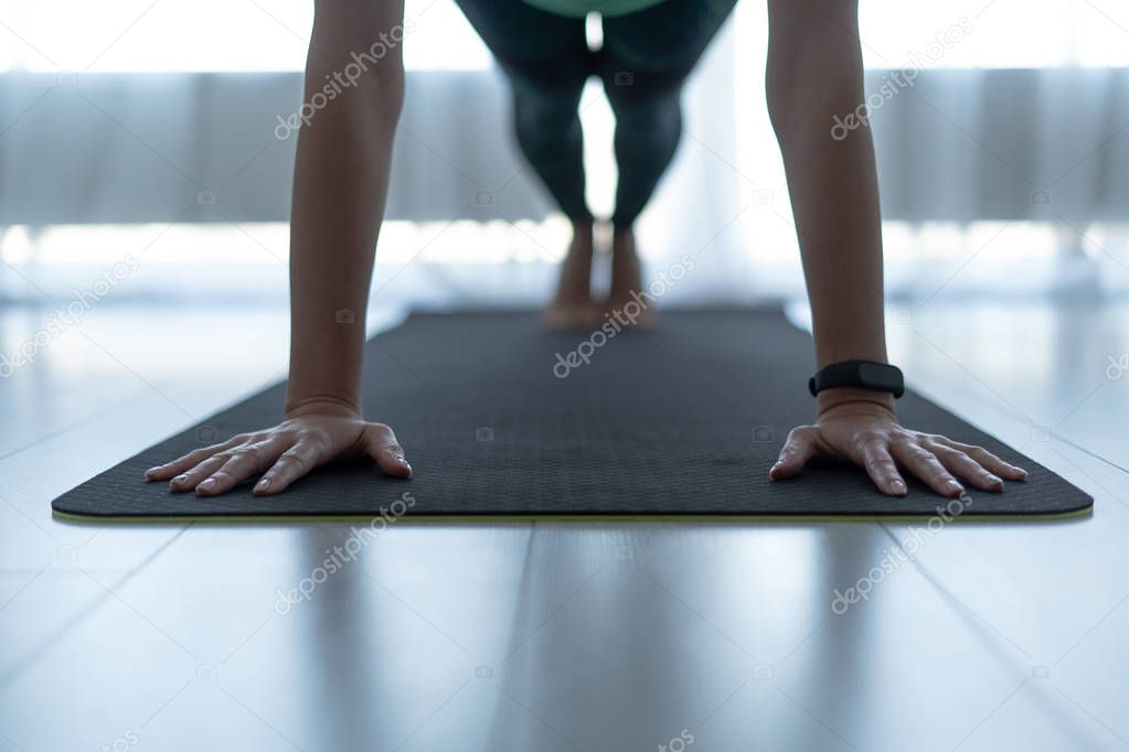 Young sporty woman standing in plank pose on fitness mat 
