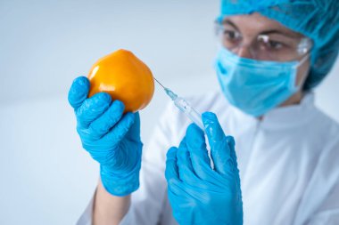 Laboratuvar araştırması yapan bilim kadını elinde şırıngayla sebzeye iğne yapıyor.