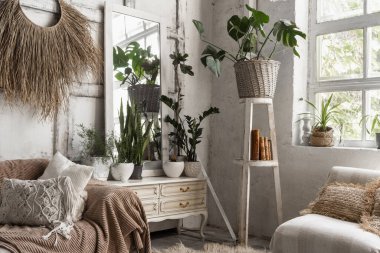 Rahat bir ev, rahat bir kanepe, yastıklar, yatak örtüsü, ev dekorasyonu ve klozetin yanındaki çiçek saksılarında yeşil bitkilerle süslü bir oda.