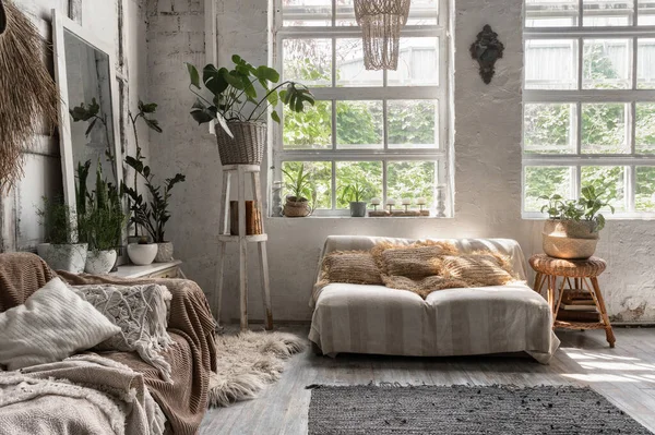 Wohnzimmer Mit Stilvollem Interieur Komfortablen Haus Sofa Kissen Weichem Plaid — Stockfoto