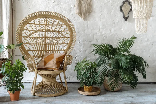 Quarto Acolhedor Com Almofada Poltrona Vime Plantas Sala Frescas Verdes — Fotografia de Stock