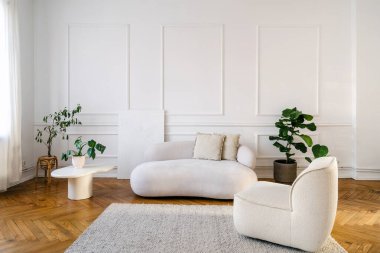 Bu şık oturma odasında klasik beyaz bir kanepe ve minimalist bir kopya uzay duvarına dayanan rahat bir koltuk var. Saksı bitkileri zarif iç tasarıma doğanın bir dokunuşunu ekler..