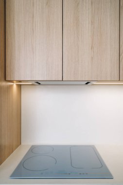 Süslü indüksiyon hob, ahşap pano dolabı ile tamamlanmış minimalist bir tezgaha entegre edilmiş ve temiz bir görünüm için ince ışıklandırma. Yeni ev aletleri ile mutfak içi kavramları