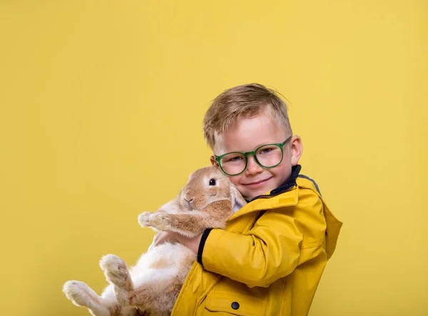 Stylowy Chłopiec Króliczych Uszach Królikiem Rękach Odizolowany Żółto Wielkanoc Zabawa — Zdjęcie stockowe