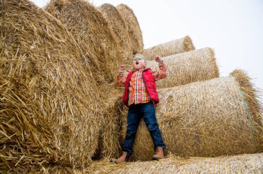 Samanlıkta oynayan mutlu okul çocuğu. Kırmızı ceketli sarışın çocuk. Ekolojik çiftlikte tatil. Tarım eğitimi.