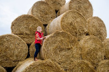 Samanlıkta oynayan mutlu okul çocuğu. Kırmızı ceketli sarışın çocuk. Ekolojik çiftlikte tatil. Tarım eğitimi.