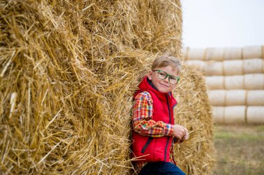 Samanlıkta oynayan mutlu okul çocuğu. Kırmızı ceketli sarışın çocuk. Ekolojik çiftlikte tatil. Tarım eğitimi.