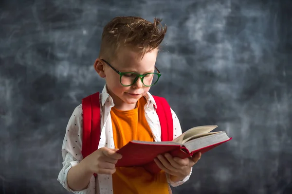 Niño Con Libro Las Manos Niño Inteligente Leer Libro Contra —  Fotos de Stock