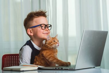 Komik kediyle evde çalışan okul çocuğu. Okula dönelim. Dizüstü bilgisayarda çalışan çocuk.