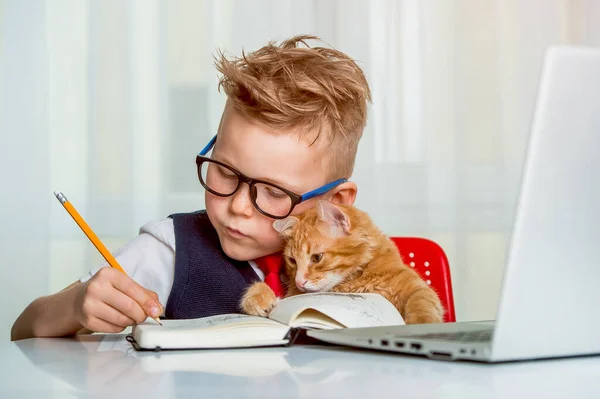 Школьник, работающий из дома со смешной рыжей кошкой. Возвращайся в школу. Ребенок работает на ноутбуке . — стоковое фото