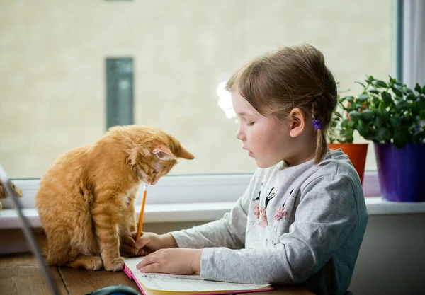 Ucz Się Domu Dziewczynka Odrabiać Lekcje Kotem Śmieszny Rudy Kociak — Zdjęcie stockowe