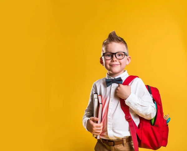 Glad Liten Pojke Med Ryggsäck Och Böcker Redo För Skolan — Stockfoto